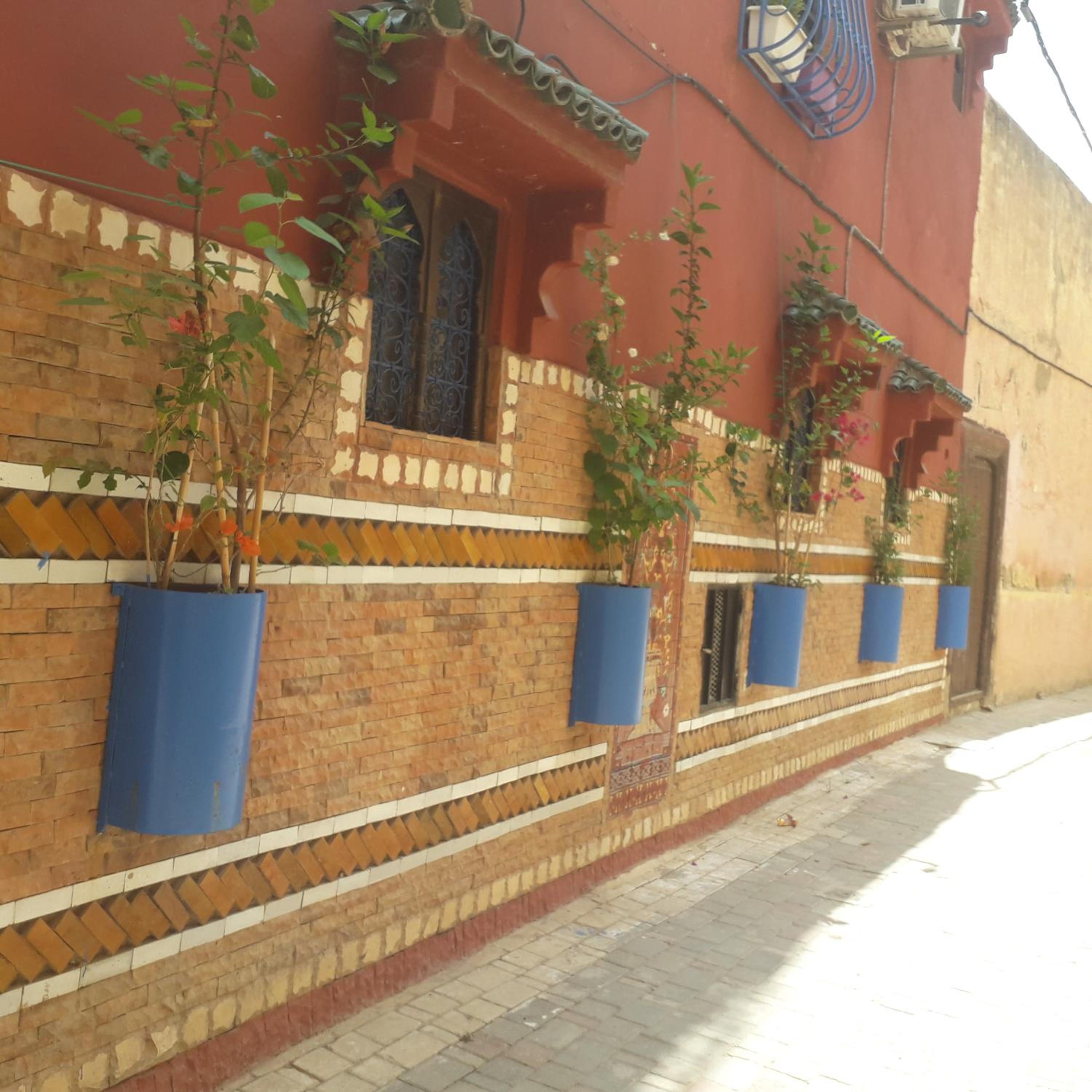 Riad Idrissi view 5