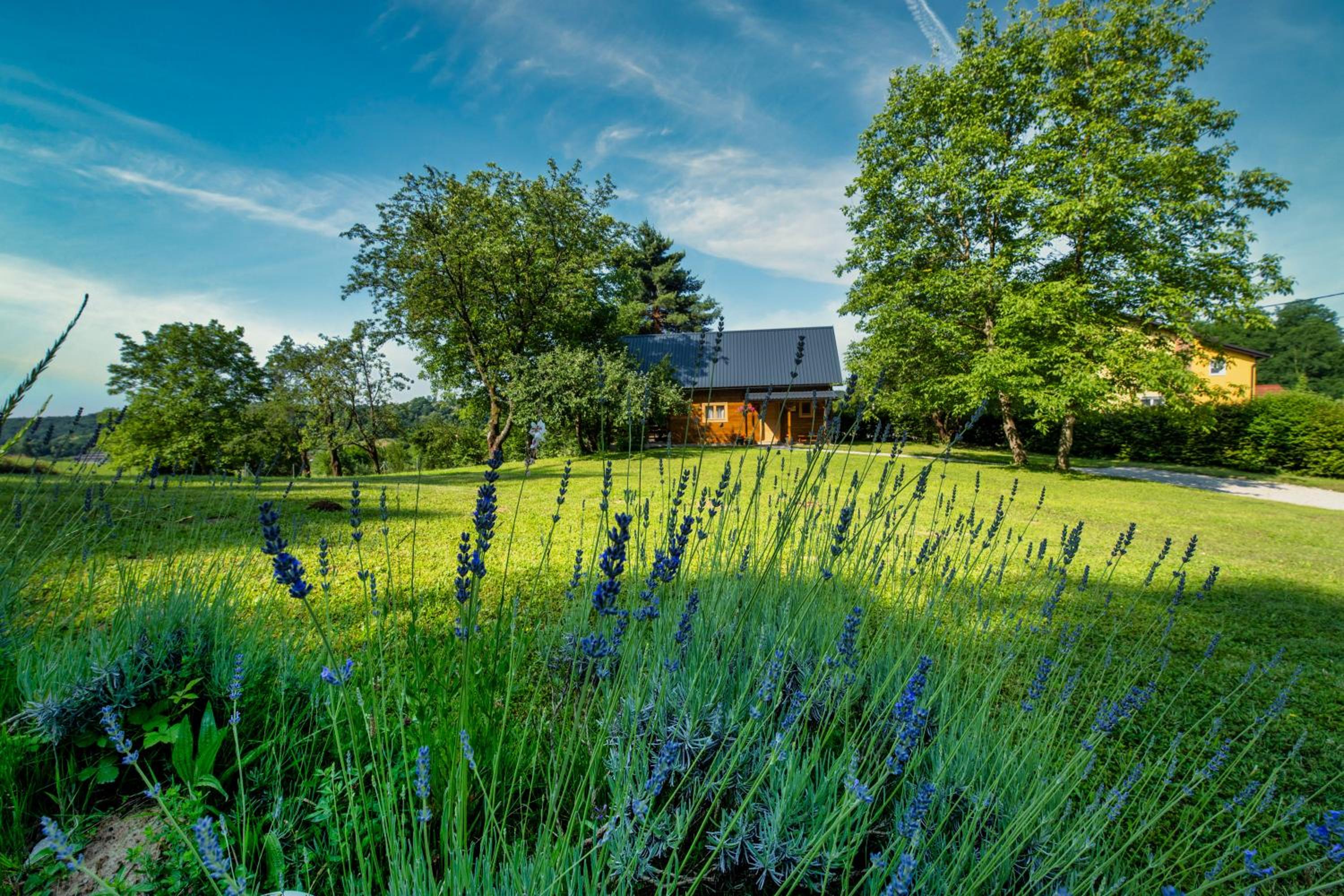 Wooden House Jela
