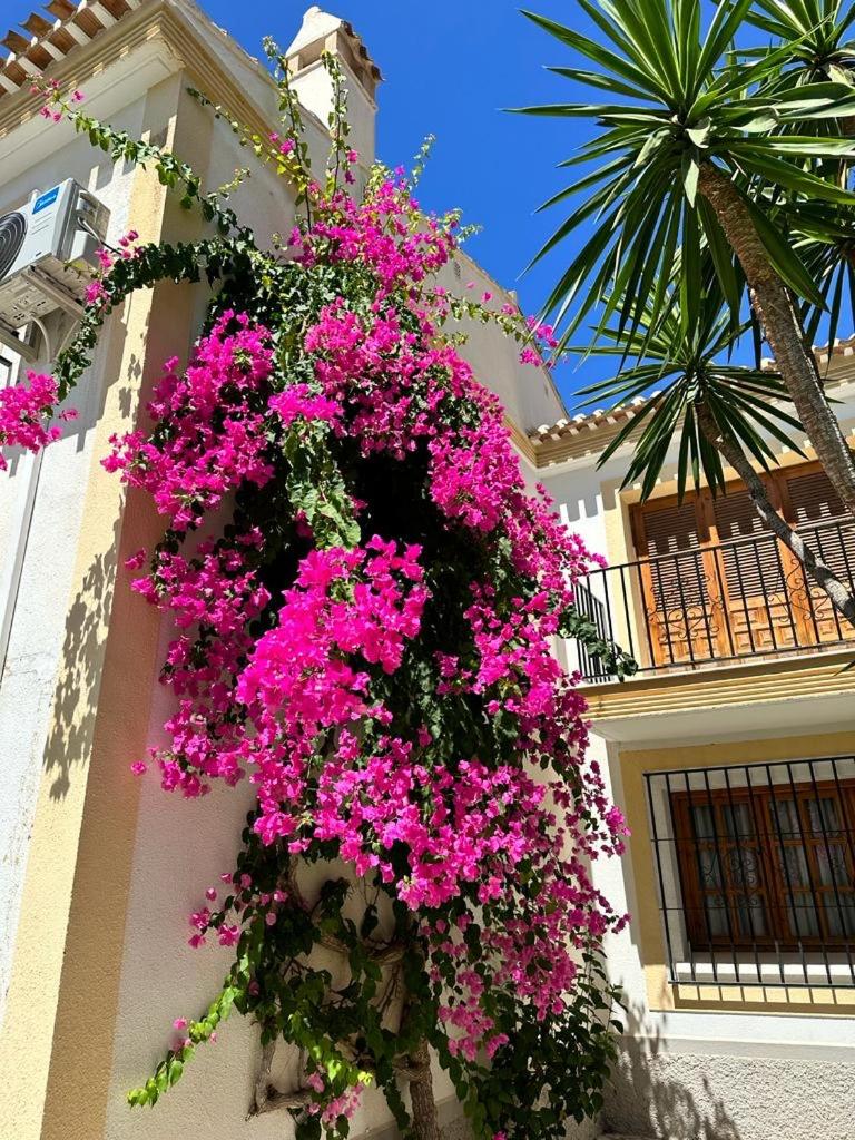 Casa Ola