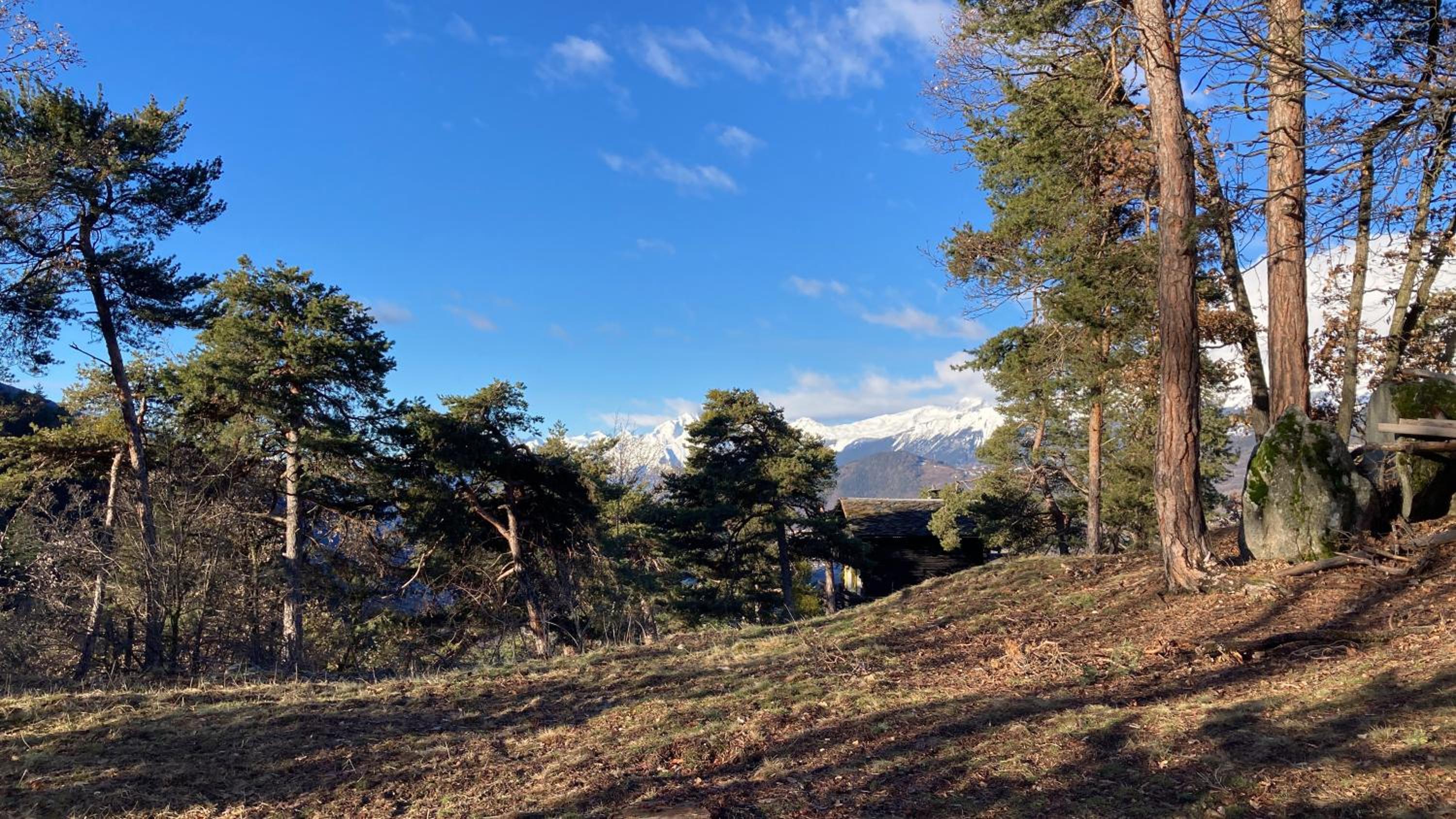 Ô Bercail Gîte de basse montagne 7' de vercorin