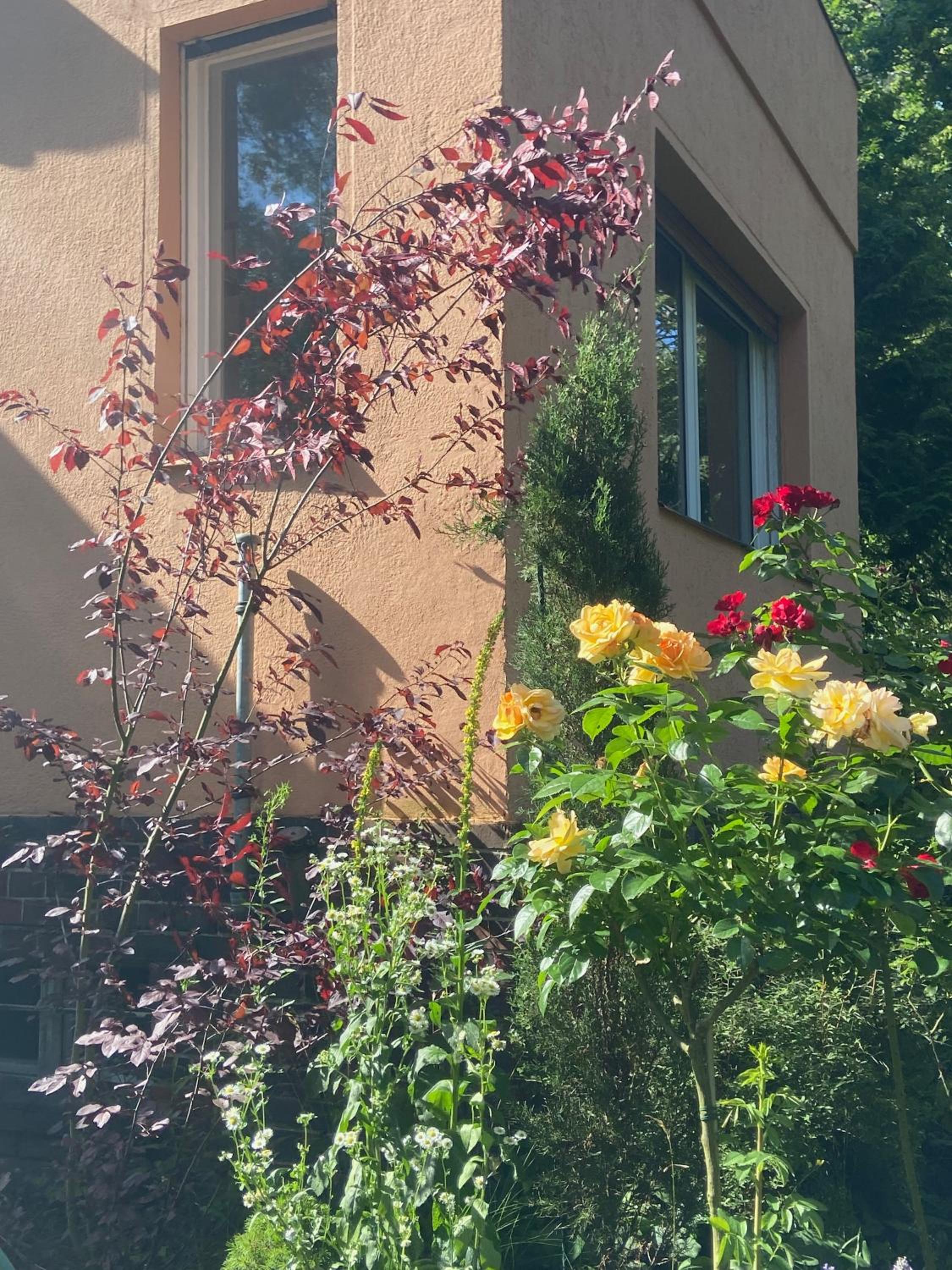 Studio im Haus Amselgarten