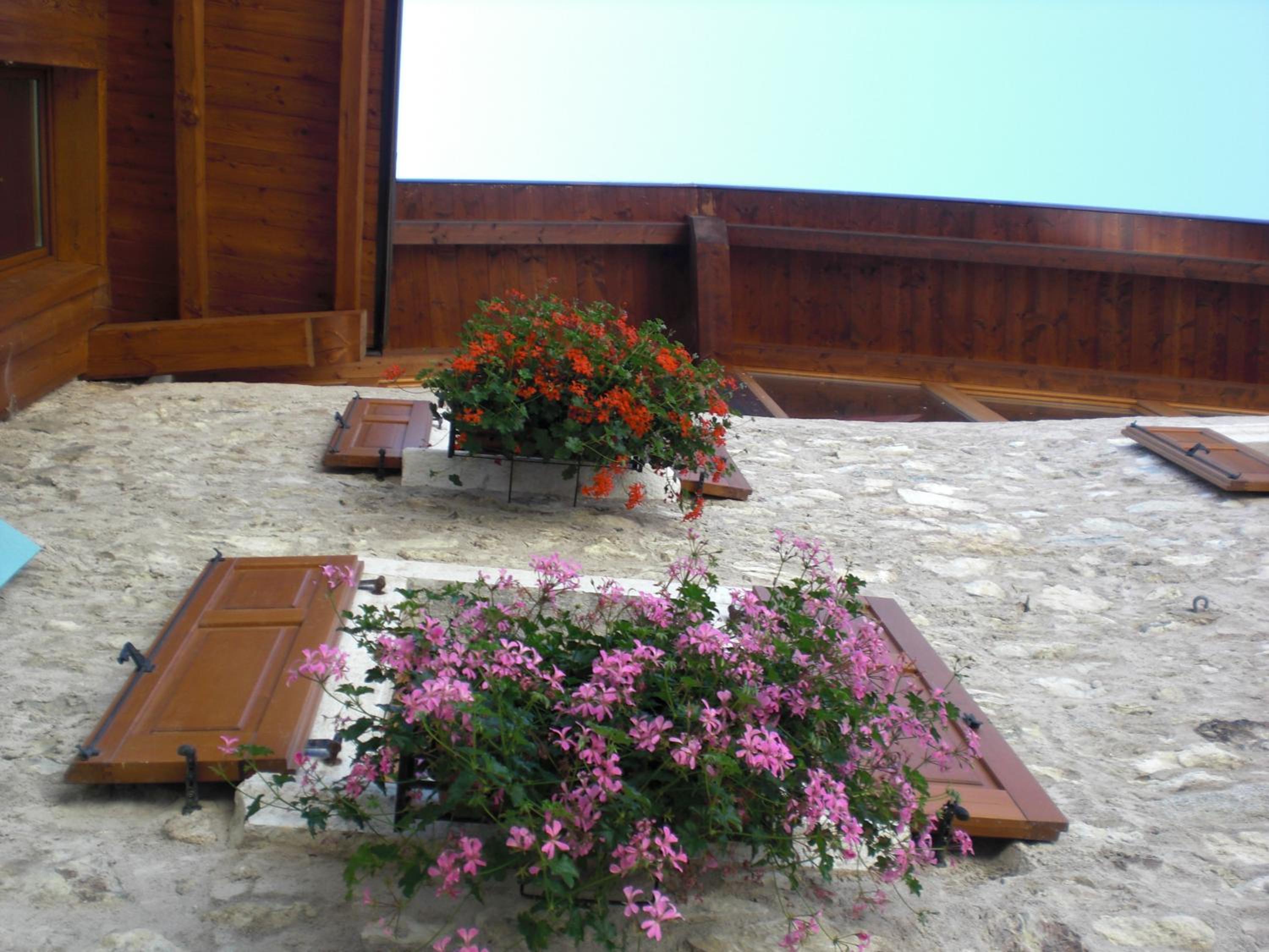 Photo 44
