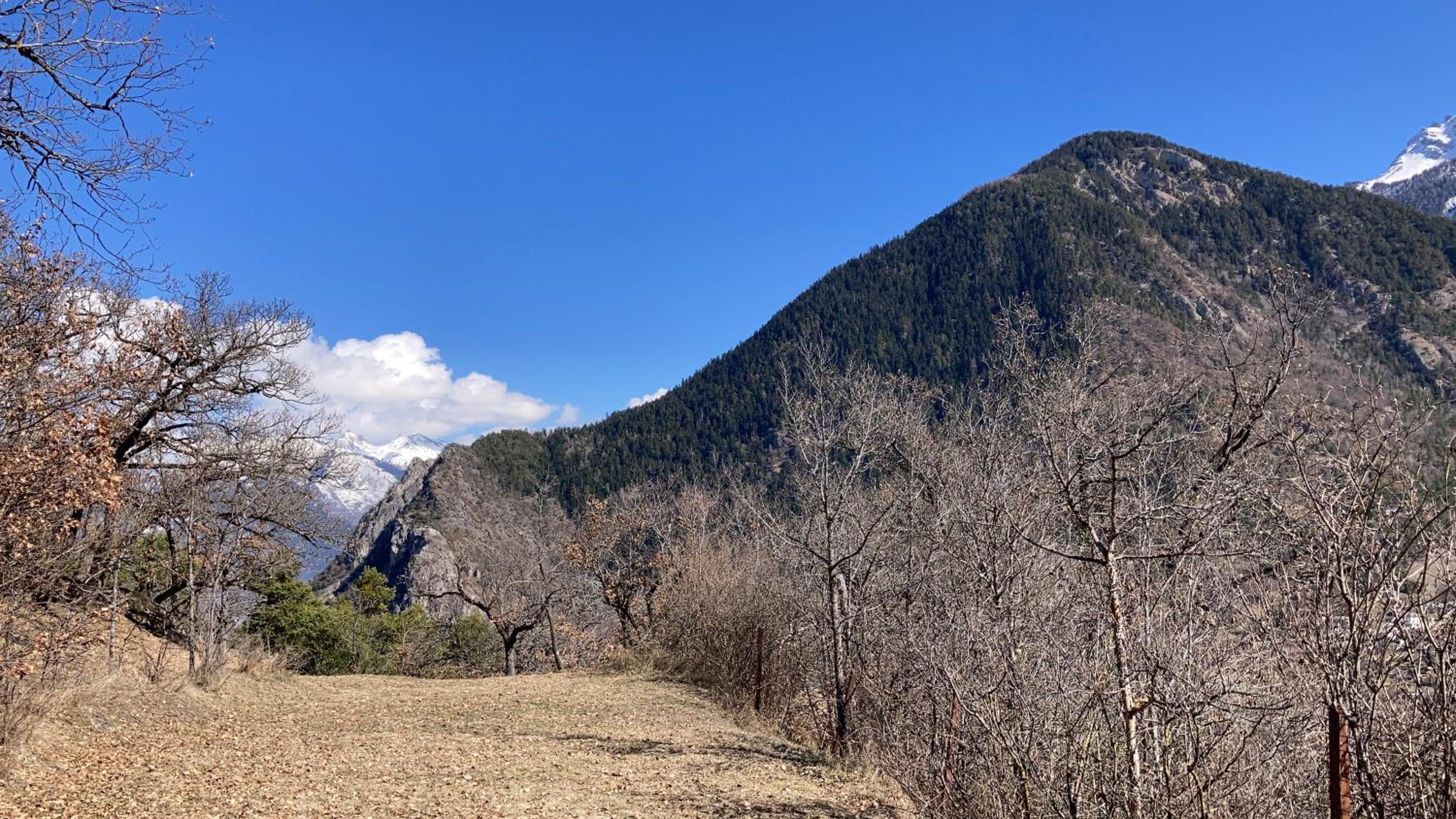 Ô Bercail Gîte de basse montagne 7' de vercorin