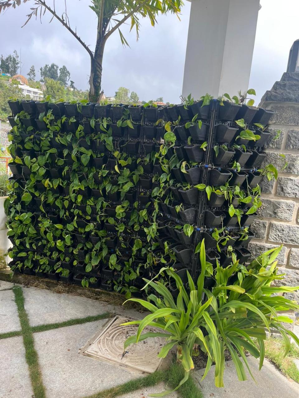 Jai Palace - Kodaikanal view 5