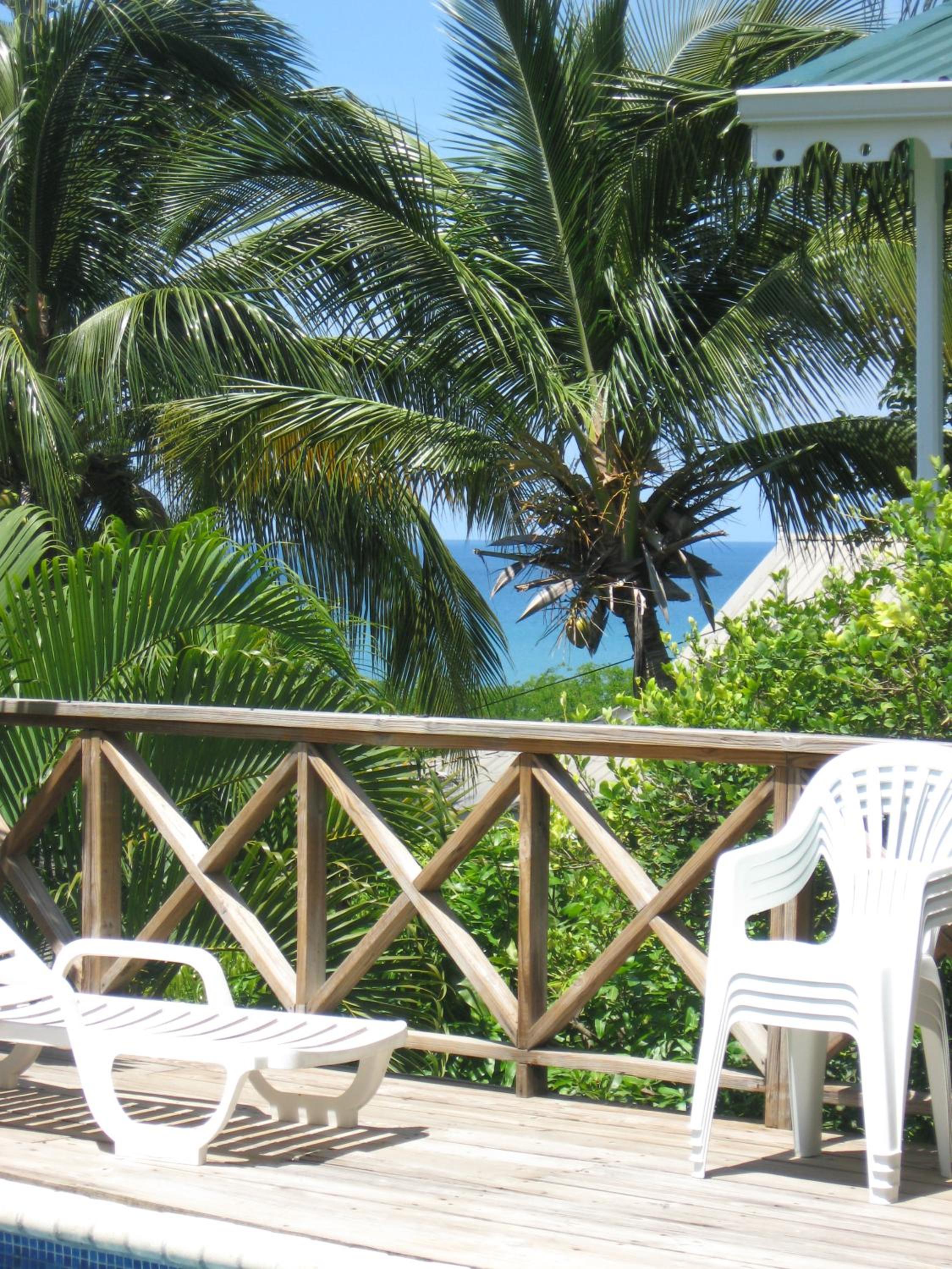 Palm Cottage photo 13 of 57