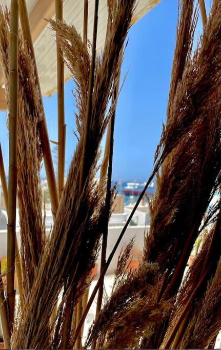 Bellissimo apartment Naxos