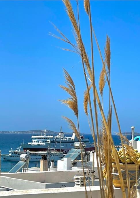 Bellissimo apartment Naxos