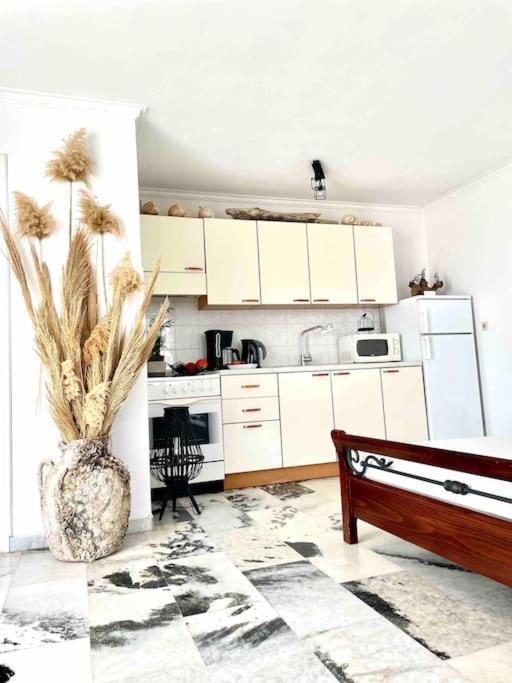 Bellissimo apartment Naxos