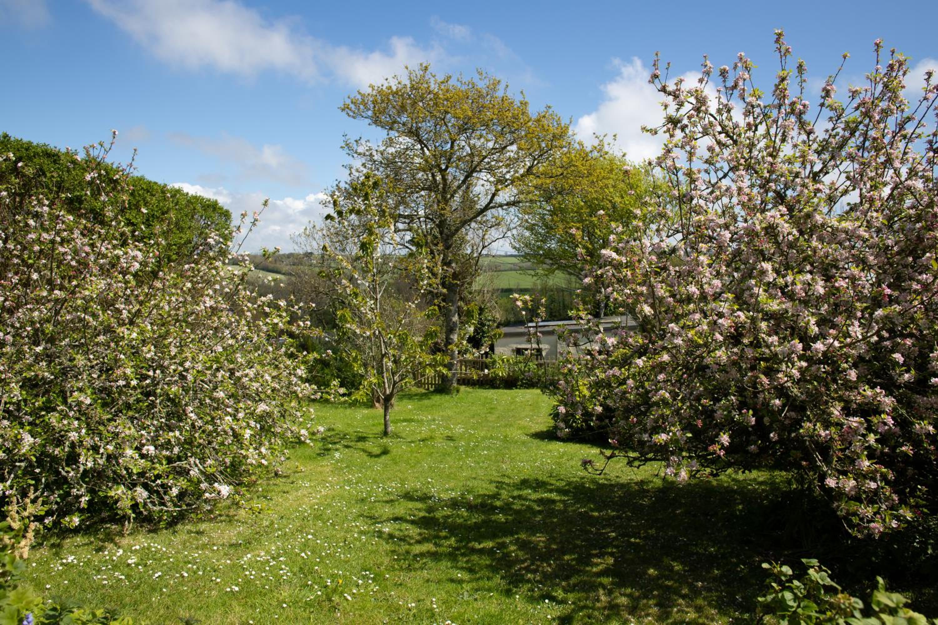 Photo 22