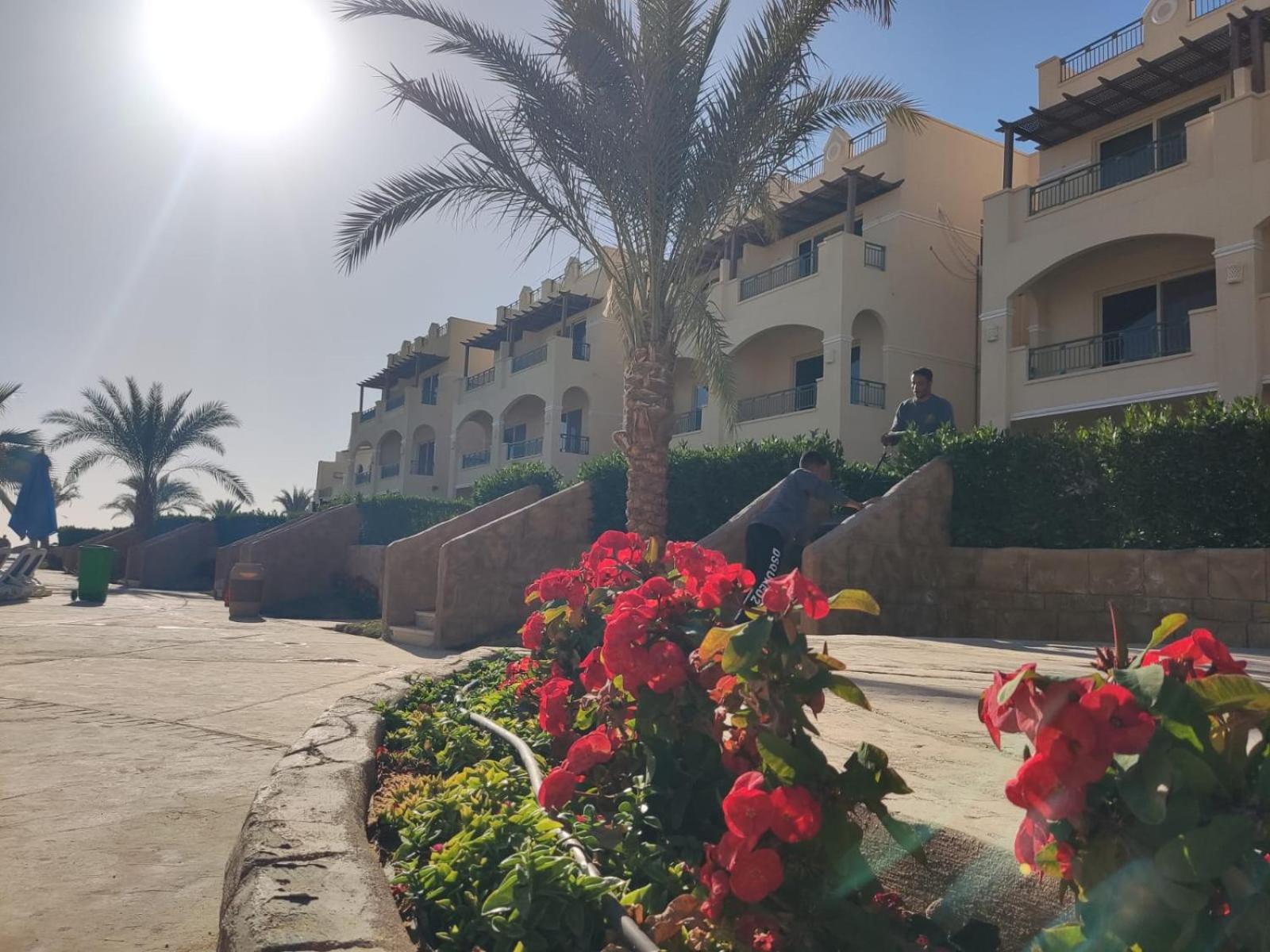 Lasirina palm beach for families only