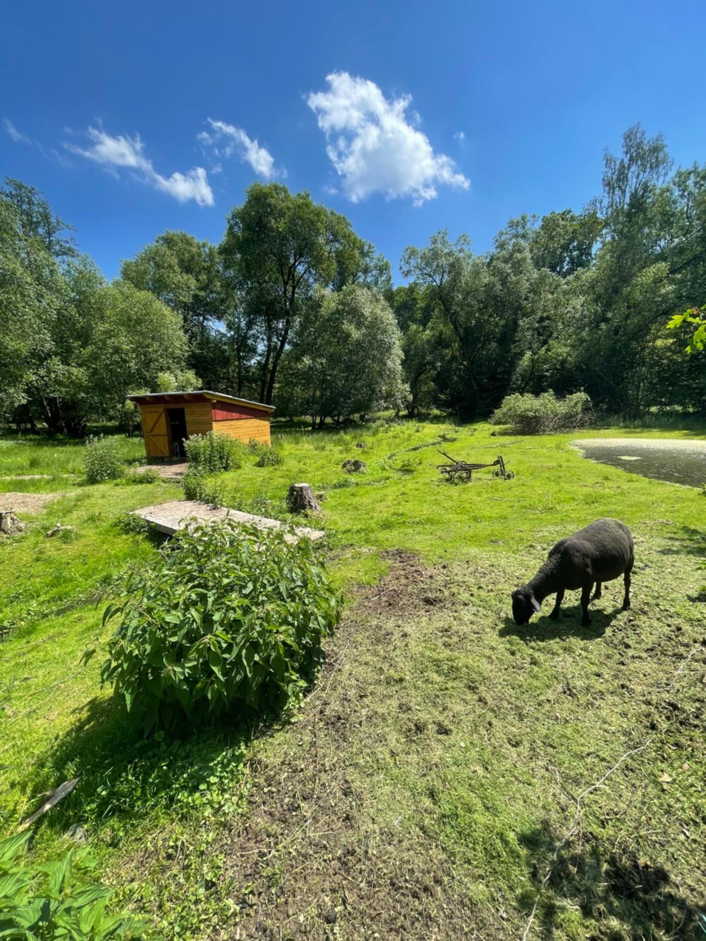Penzion Černý Mlýn