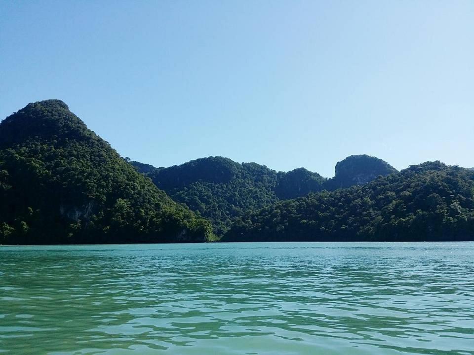 Lynda Guest House photo 4