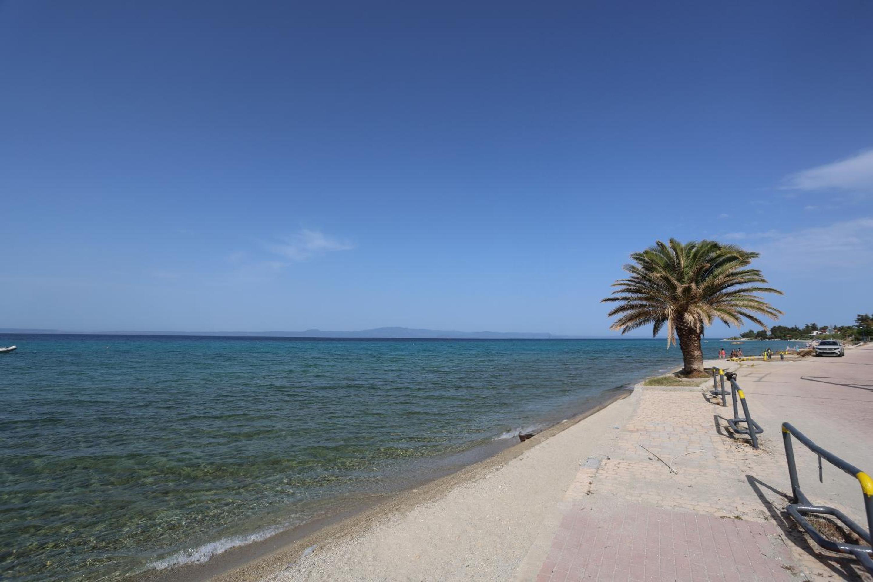MainAvenue Palm Seaside