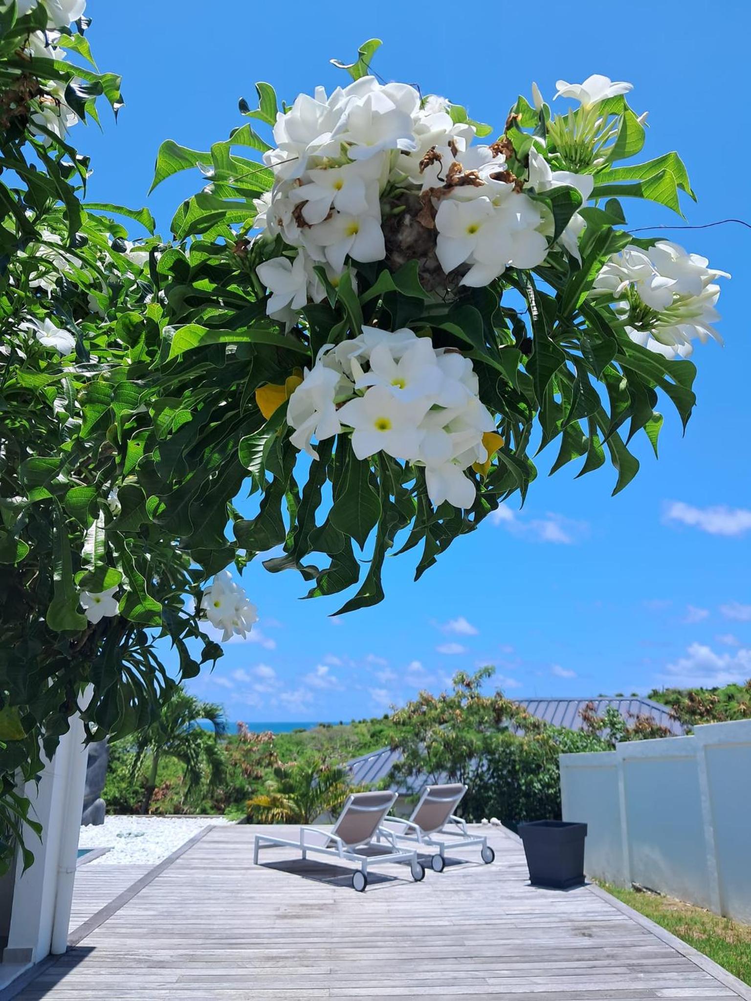 Villa Moai