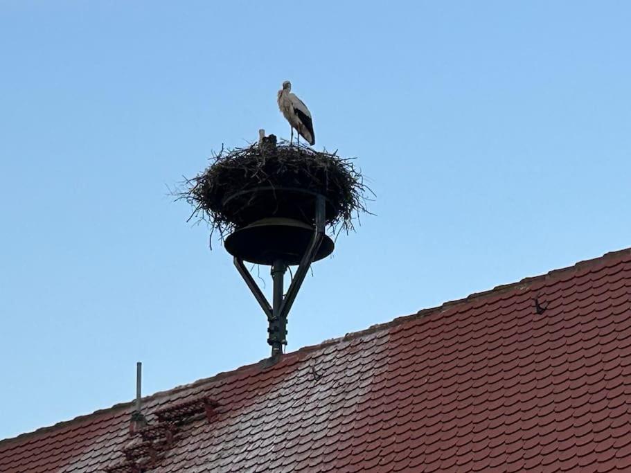 Ferienwohnung am Storchennest