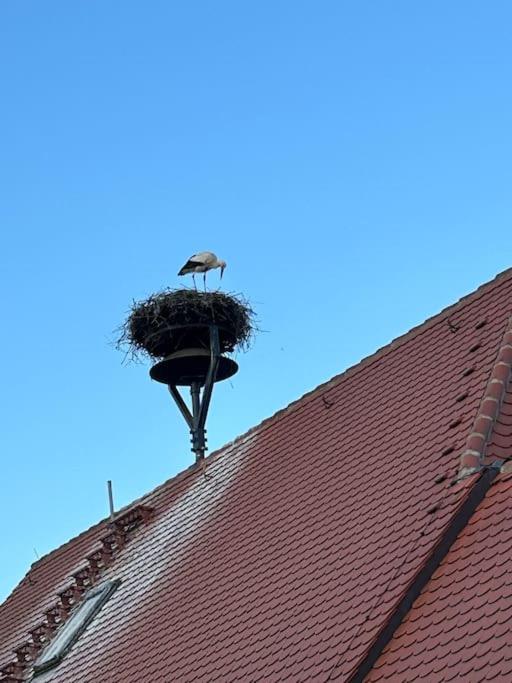 Ferienwohnung am Storchennest