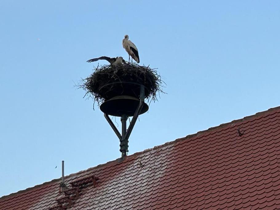 Ferienwohnung am Storchennest