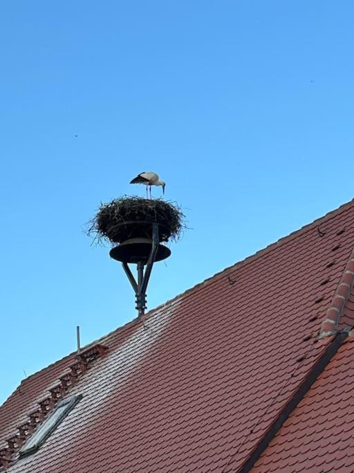 Ferienwohnung am Storchennest