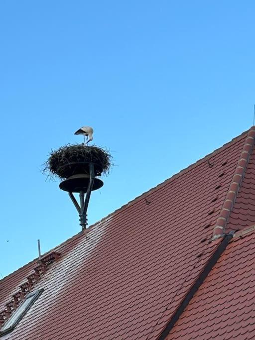 Ferienwohnung am Storchennest