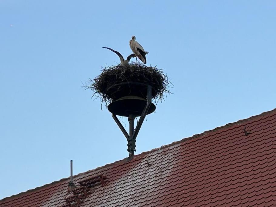 Ferienwohnung am Storchennest