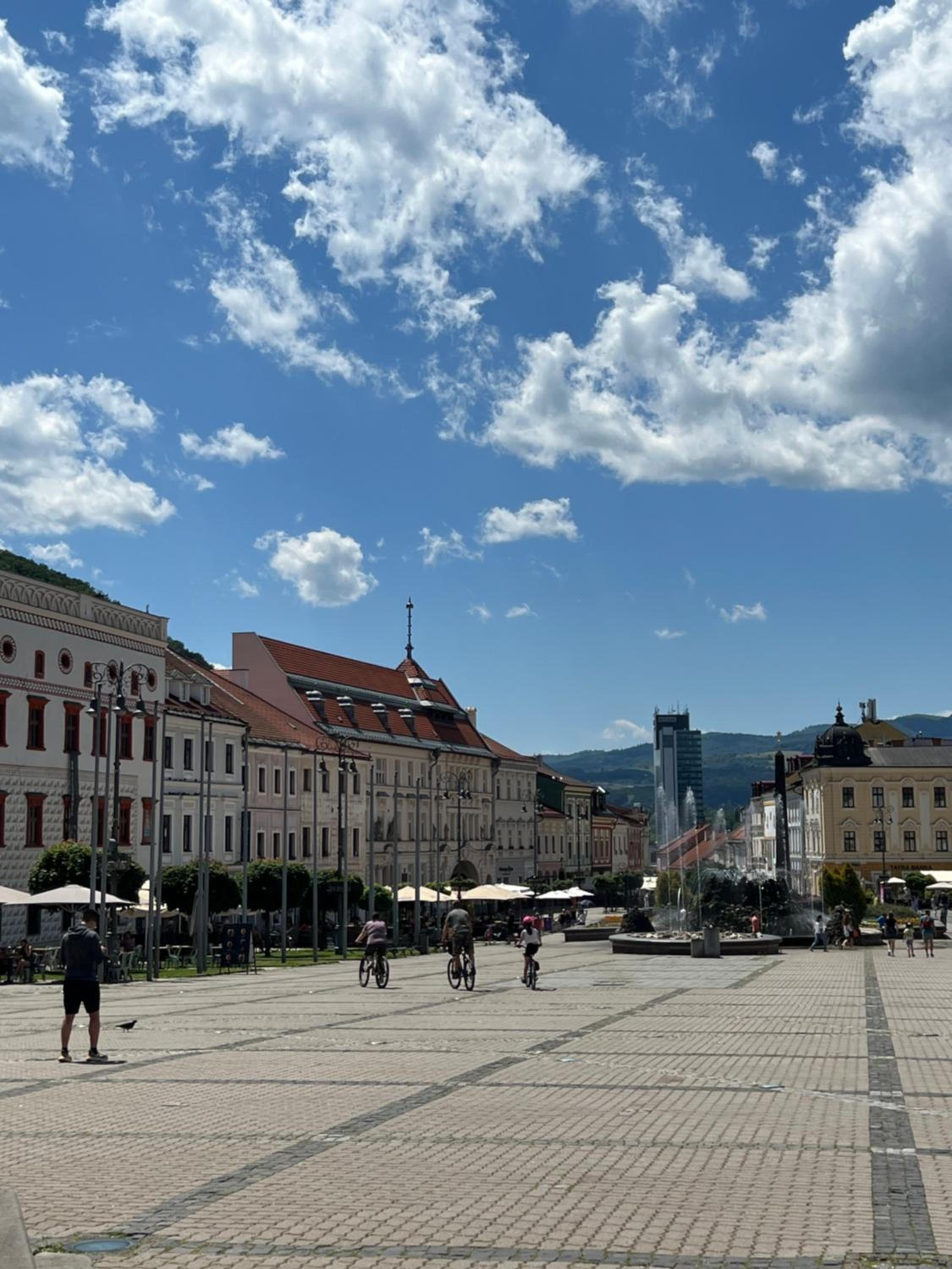 Apartman TRZNICA