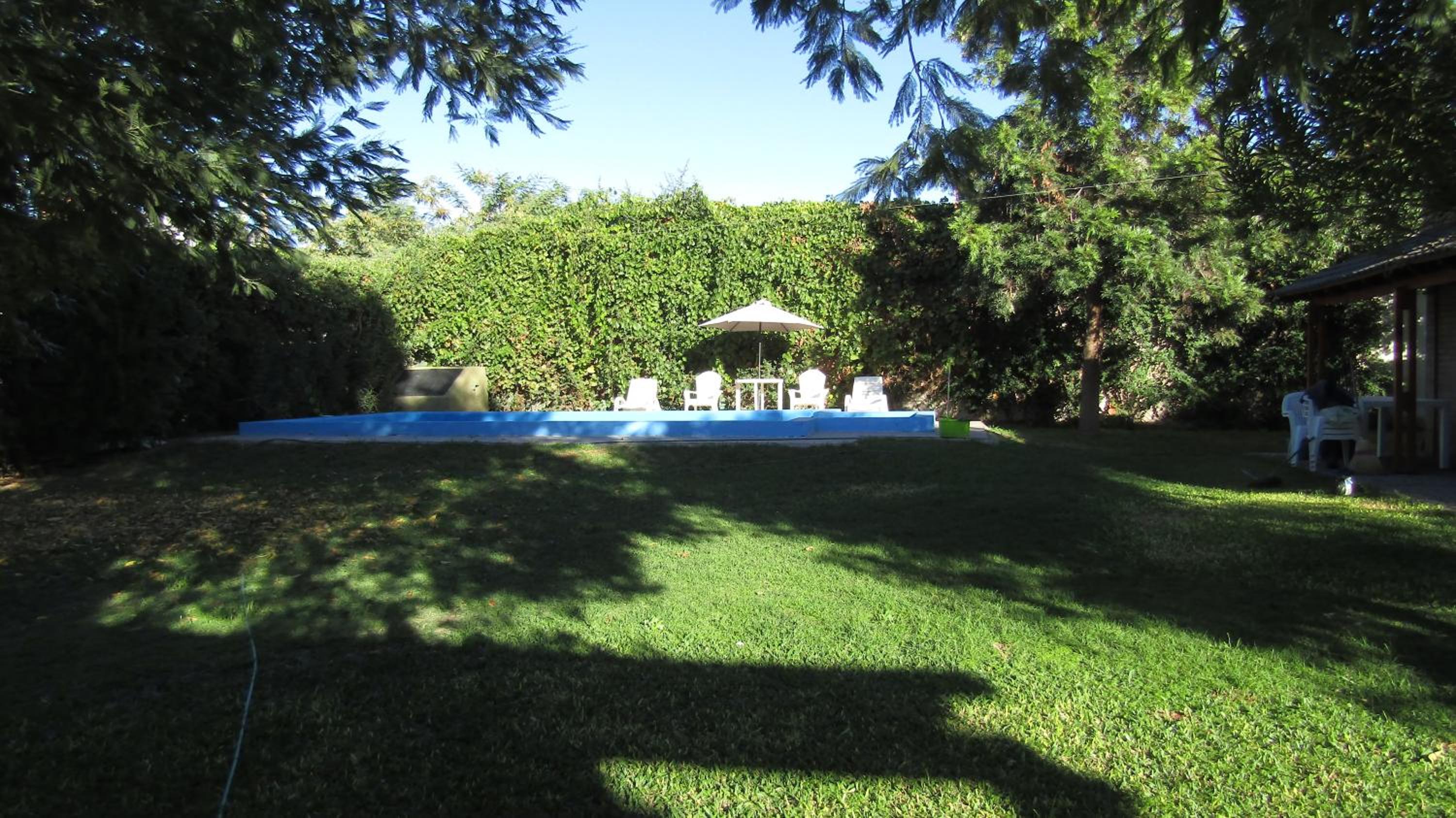 Tres palmeras