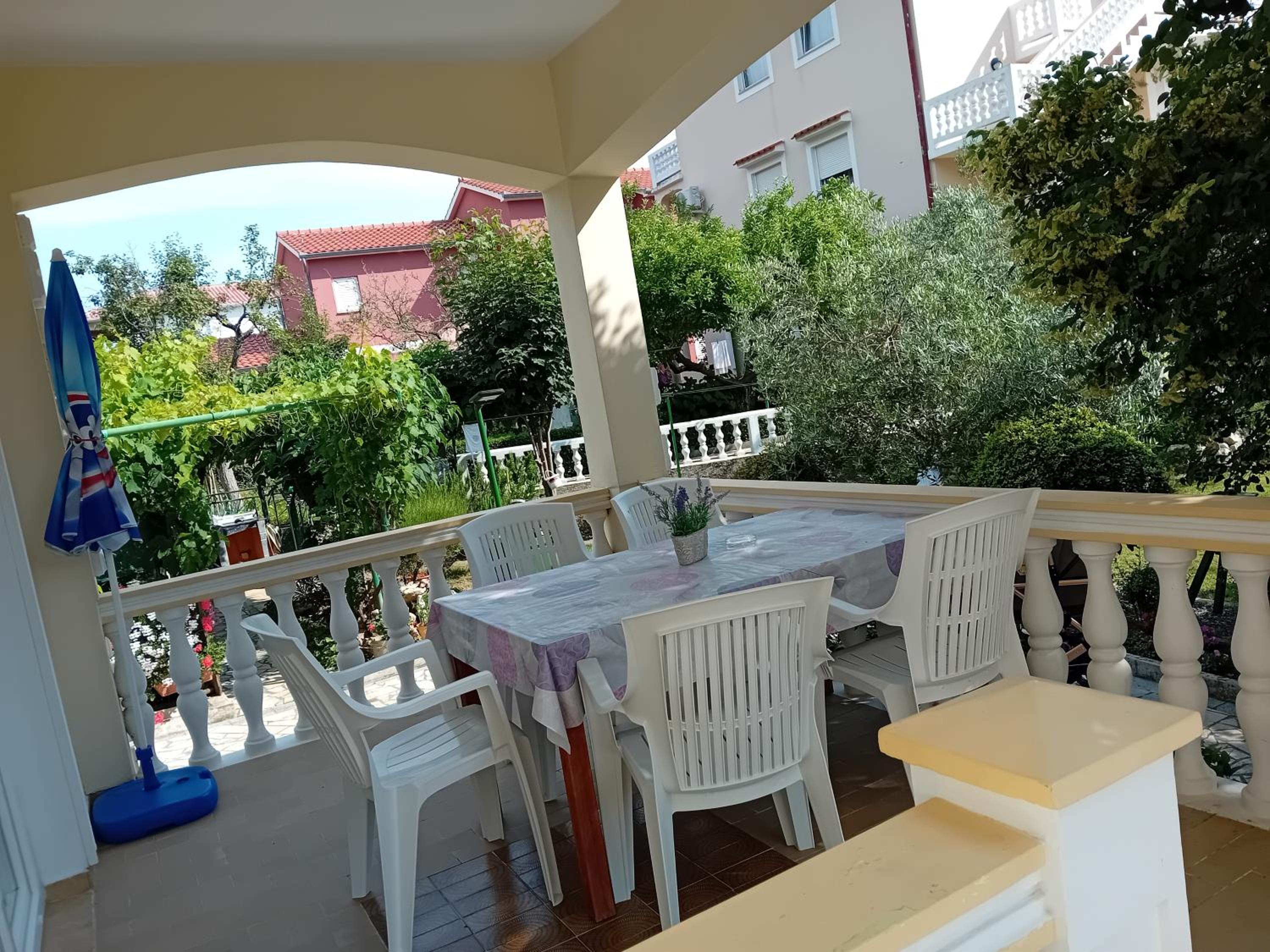 Zvjezdana view 2