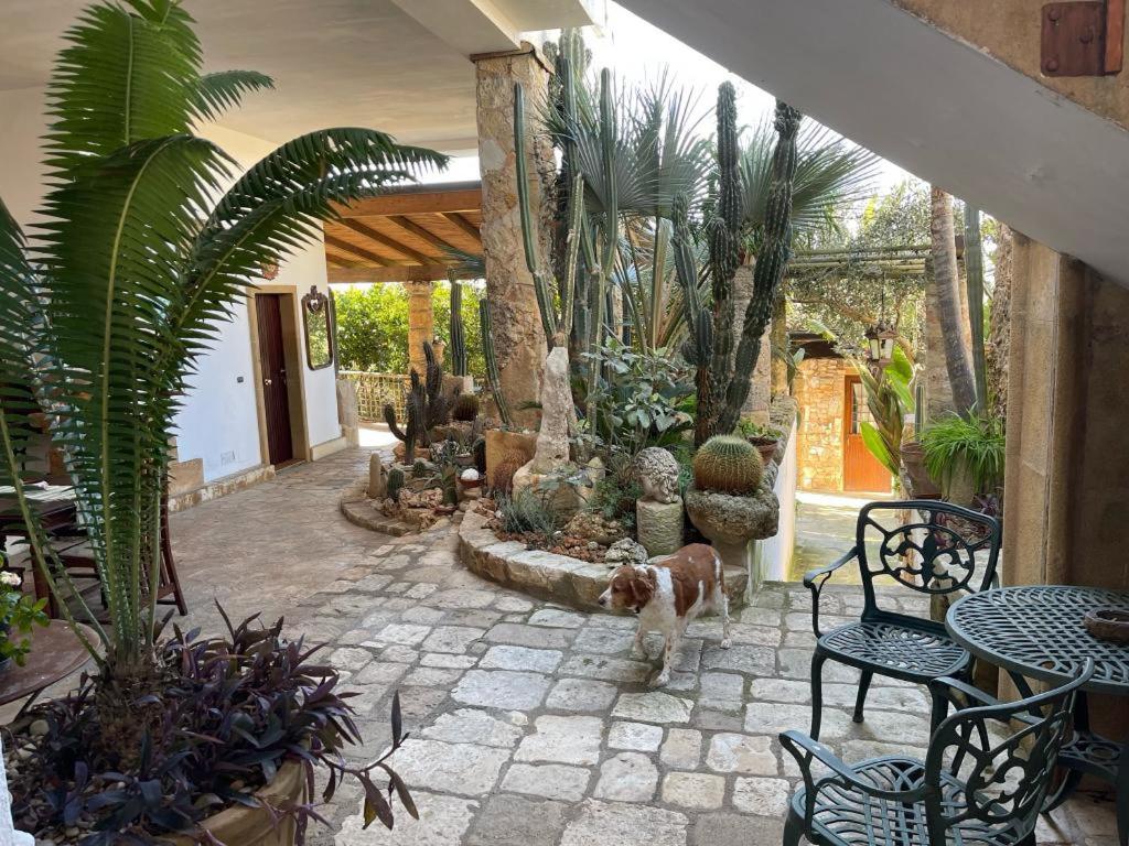 Felline In Bed&Breakfast Dimora di Charme el Salento