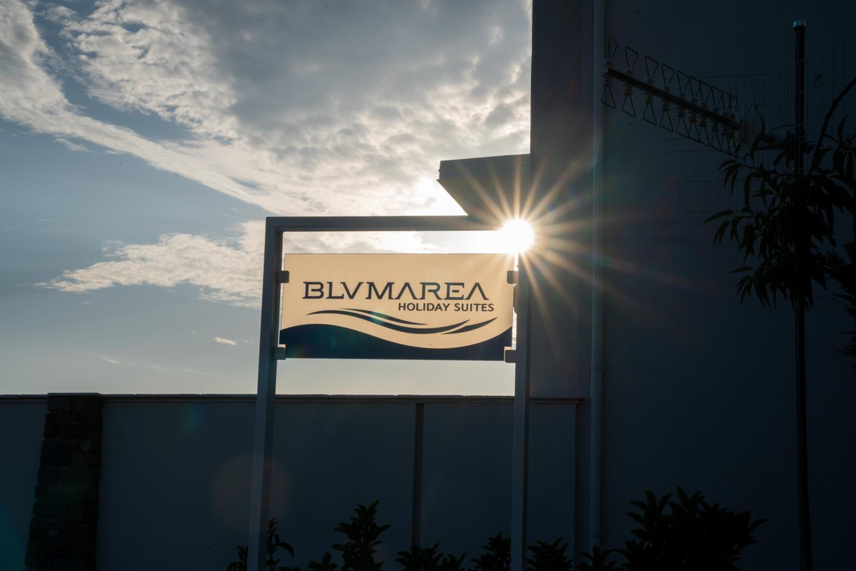 Blumarea