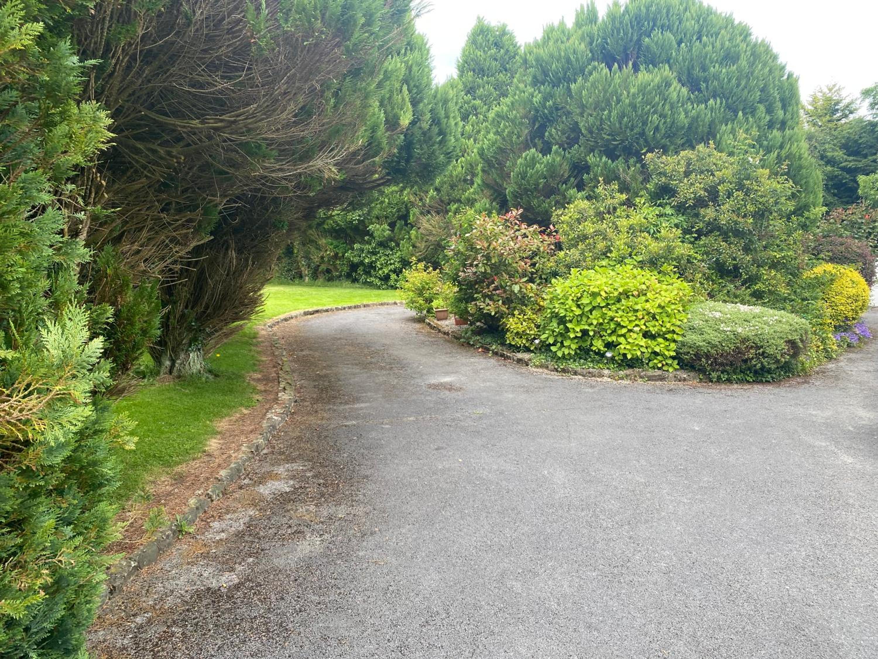 Palm Grove B&B
