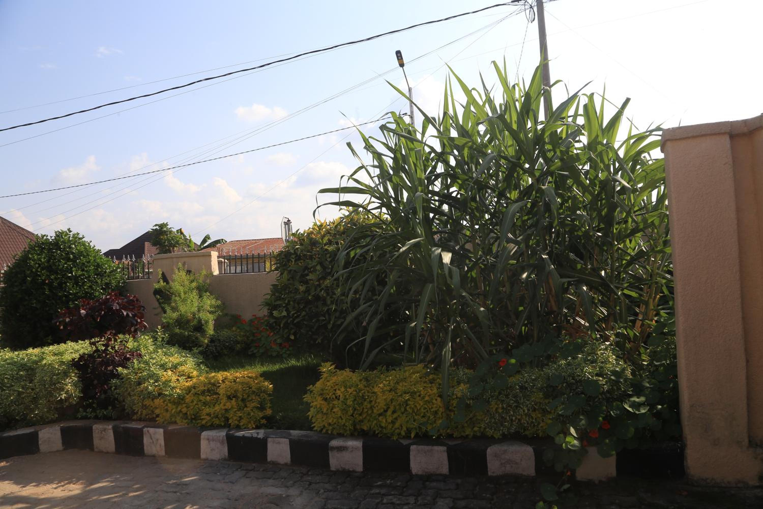 Umuringa House