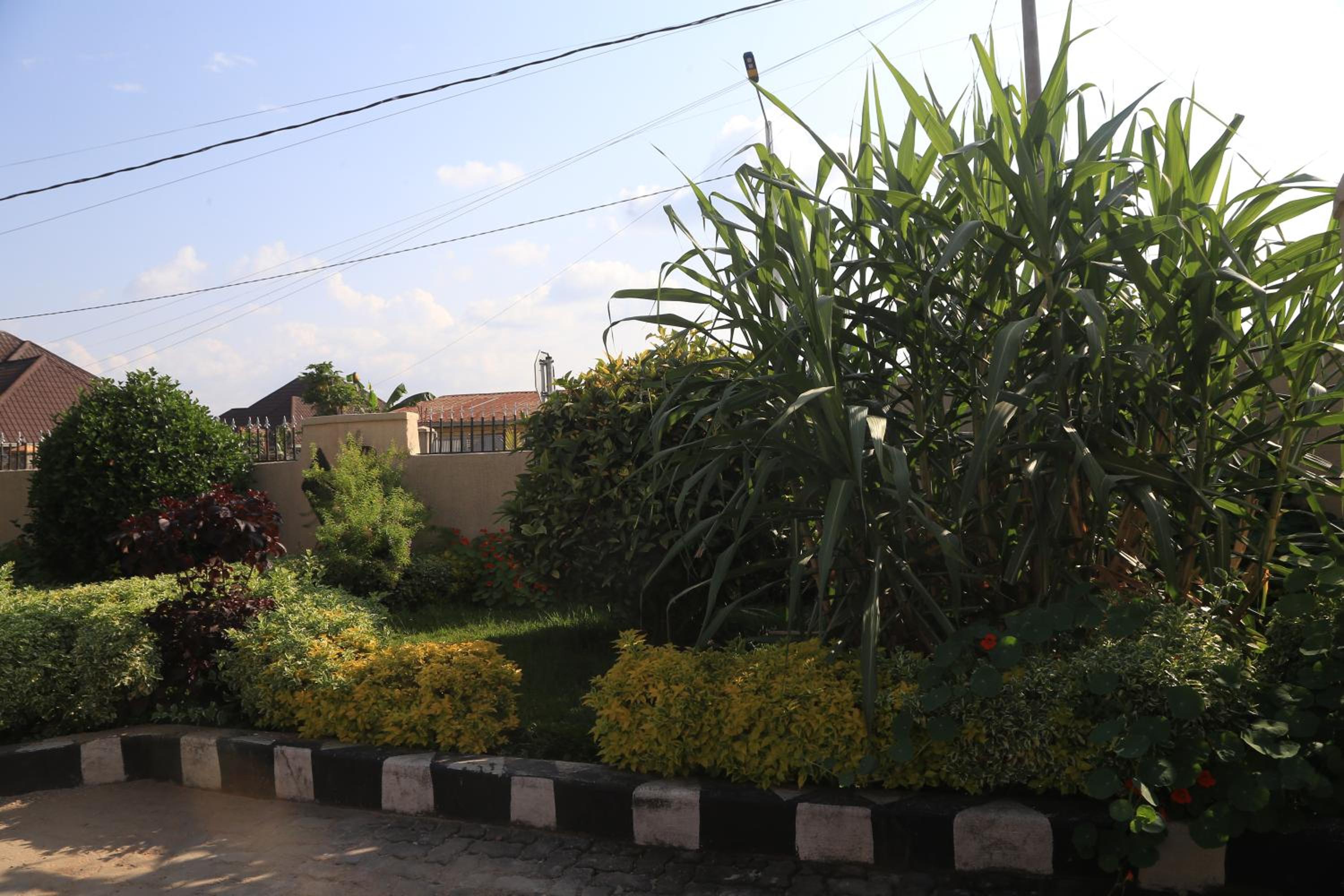 Umuringa House