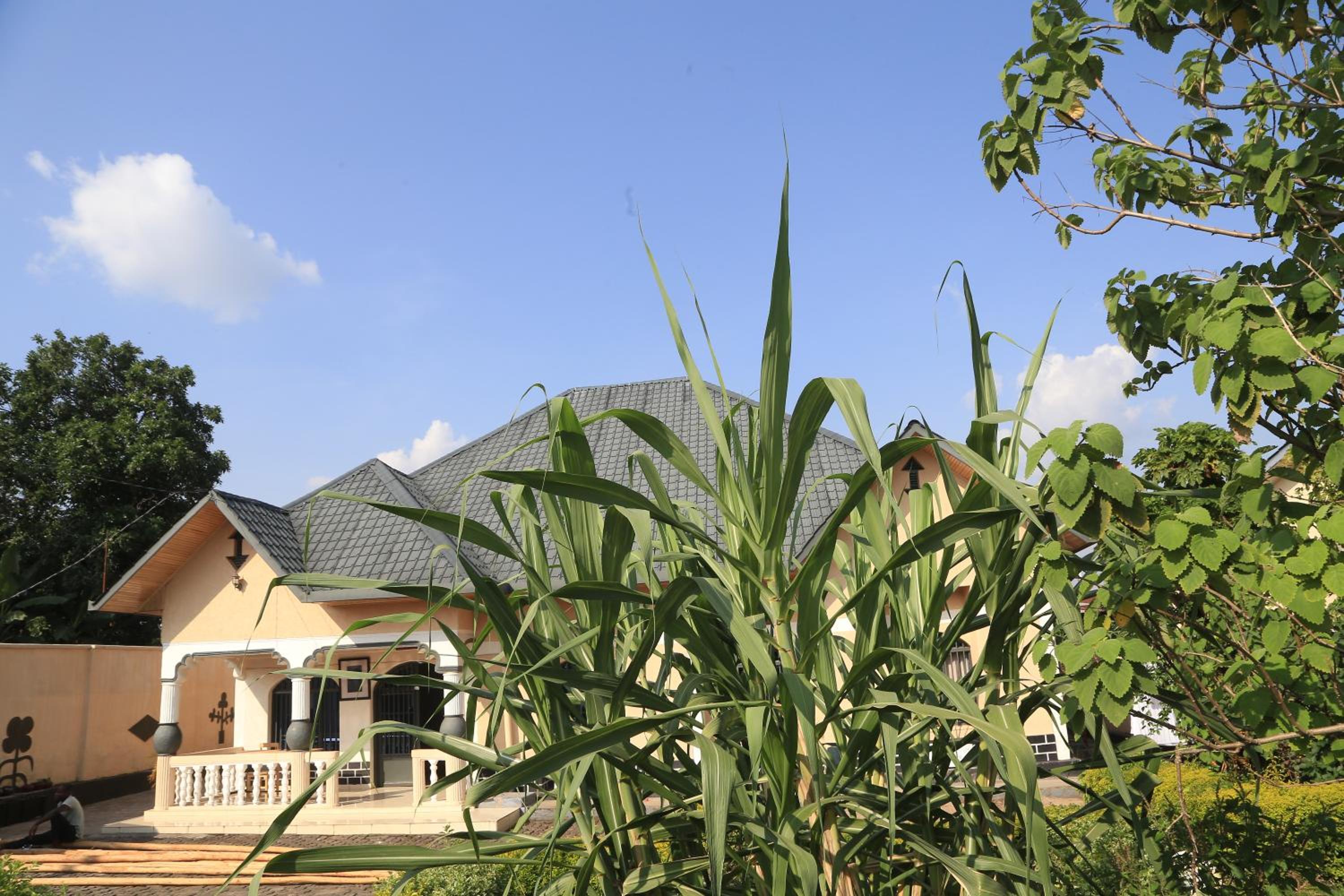 Umuringa House