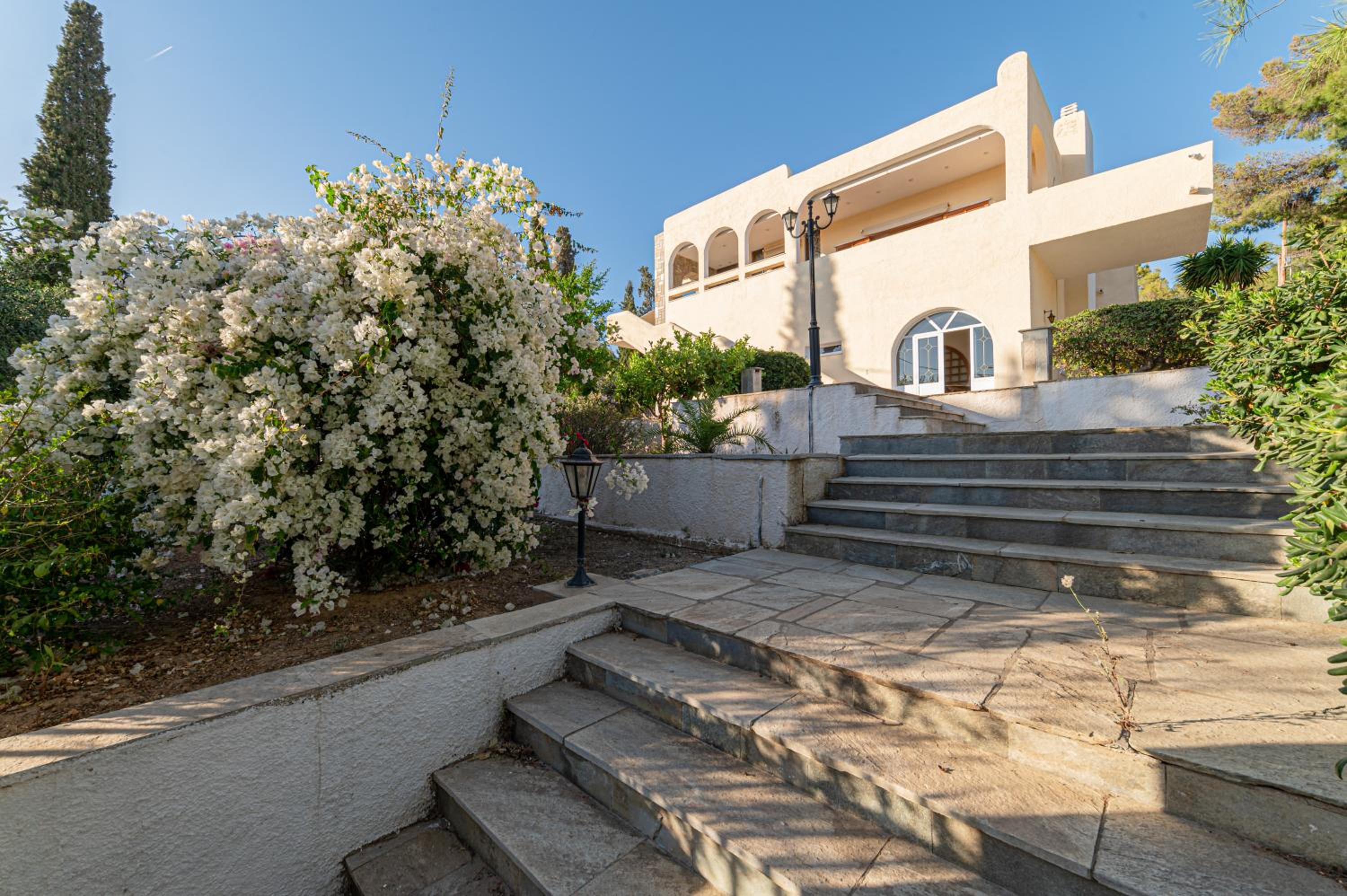Heliotrope Traditional House