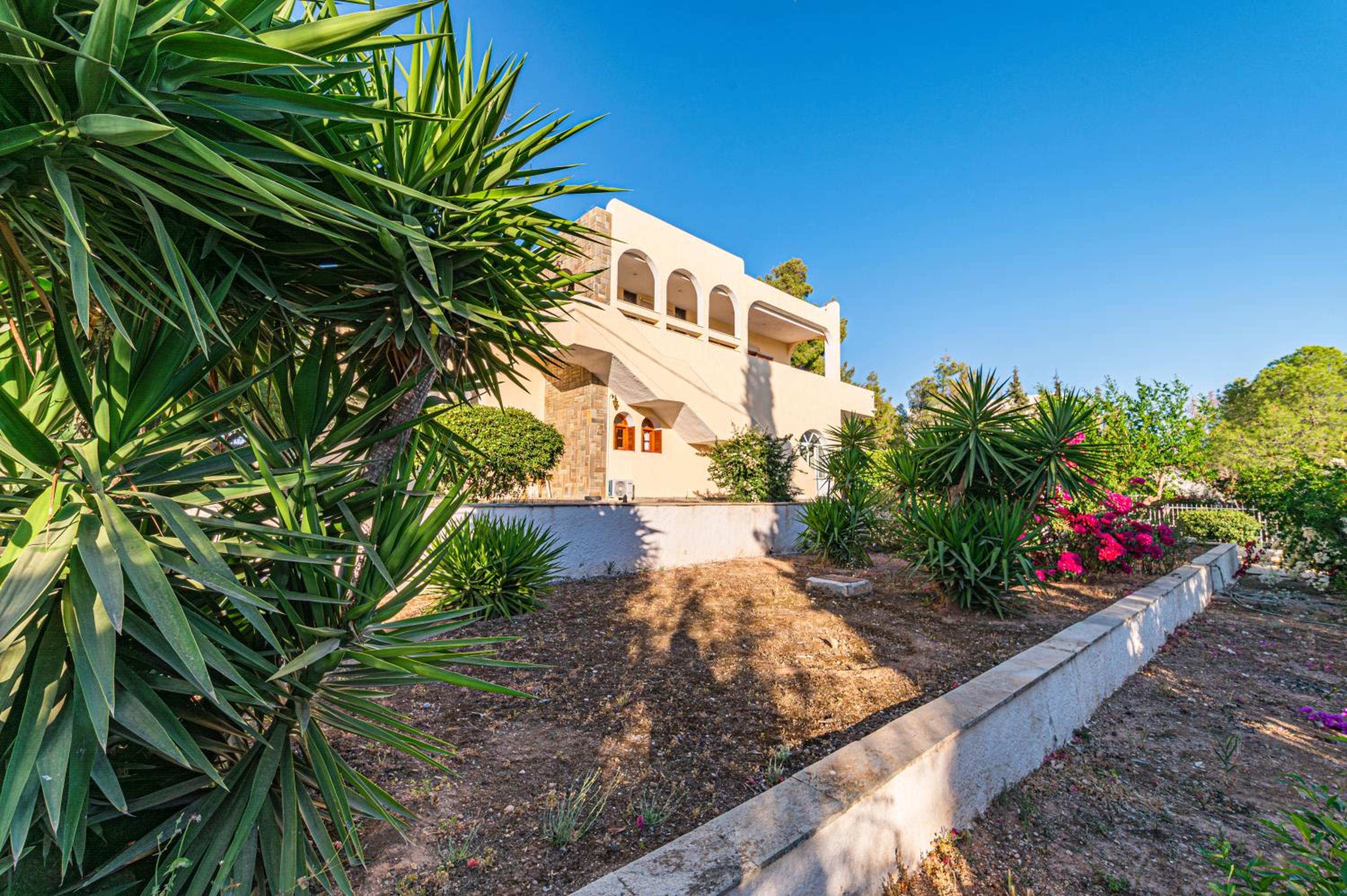 Heliotrope Traditional House