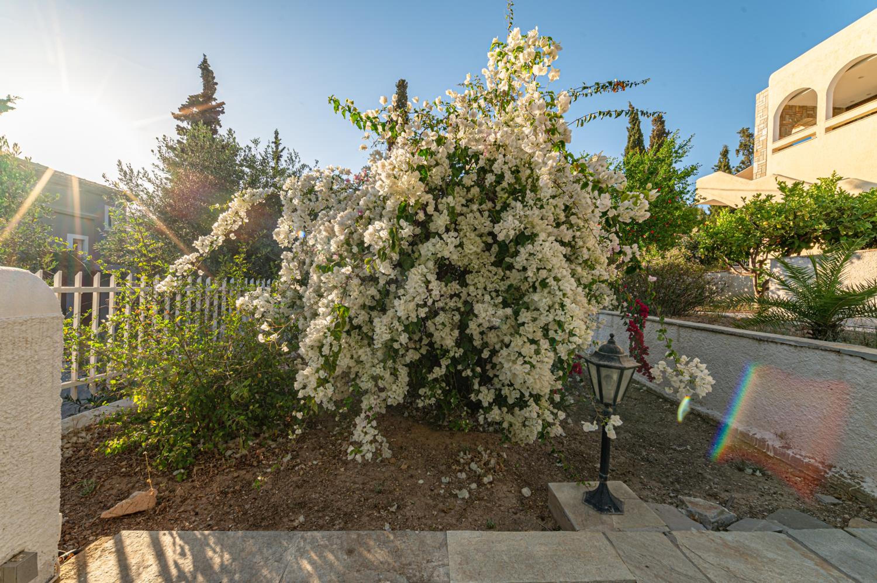 Heliotrope Traditional House