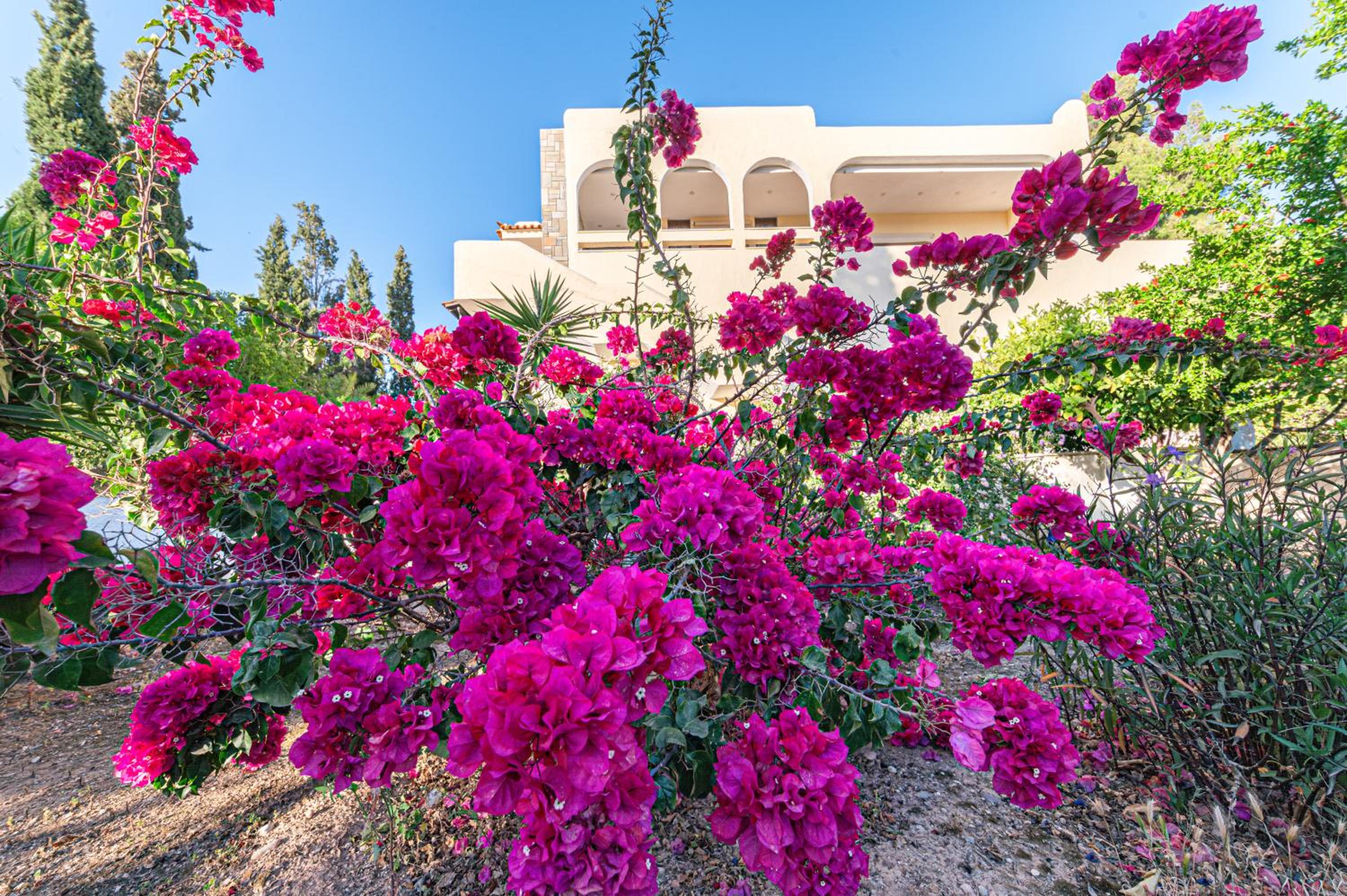 Heliotrope Traditional House