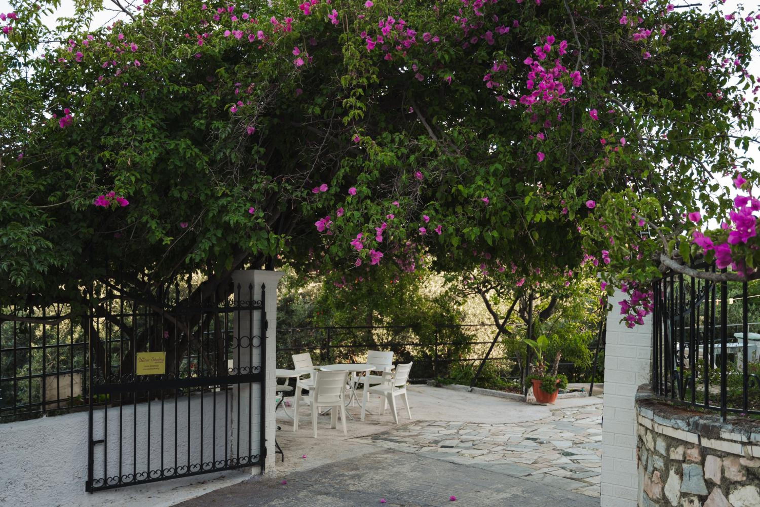 Ulisse Apartments