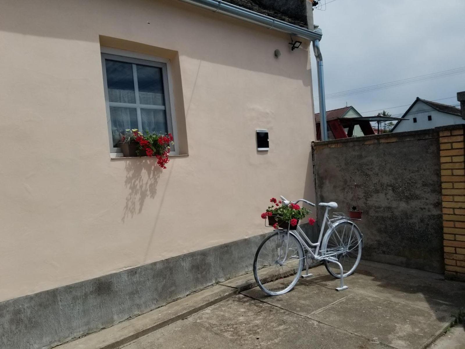 Apartmany Detvanka view 5