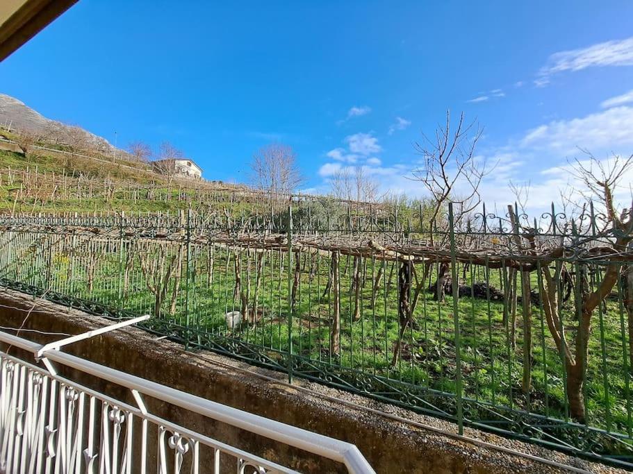 Concetta Country House photo 5