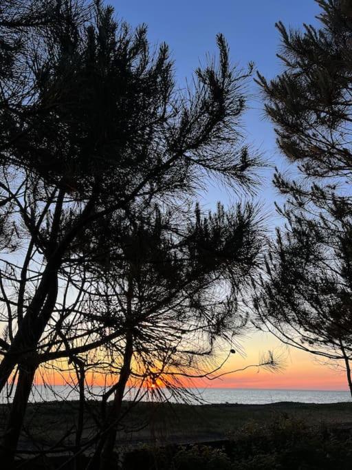 Nina's house & Yard 200m from beach Kaprovani