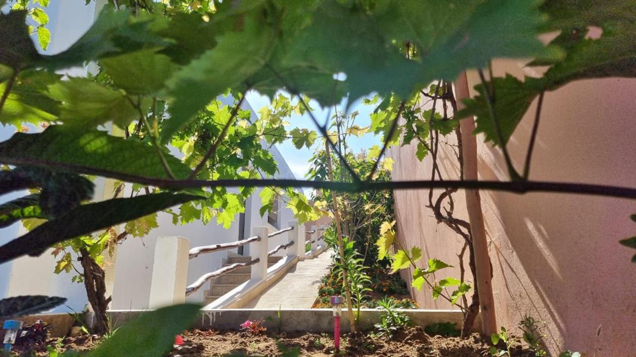 Villa avec piscine Asilah, terrain de foot privative view 2