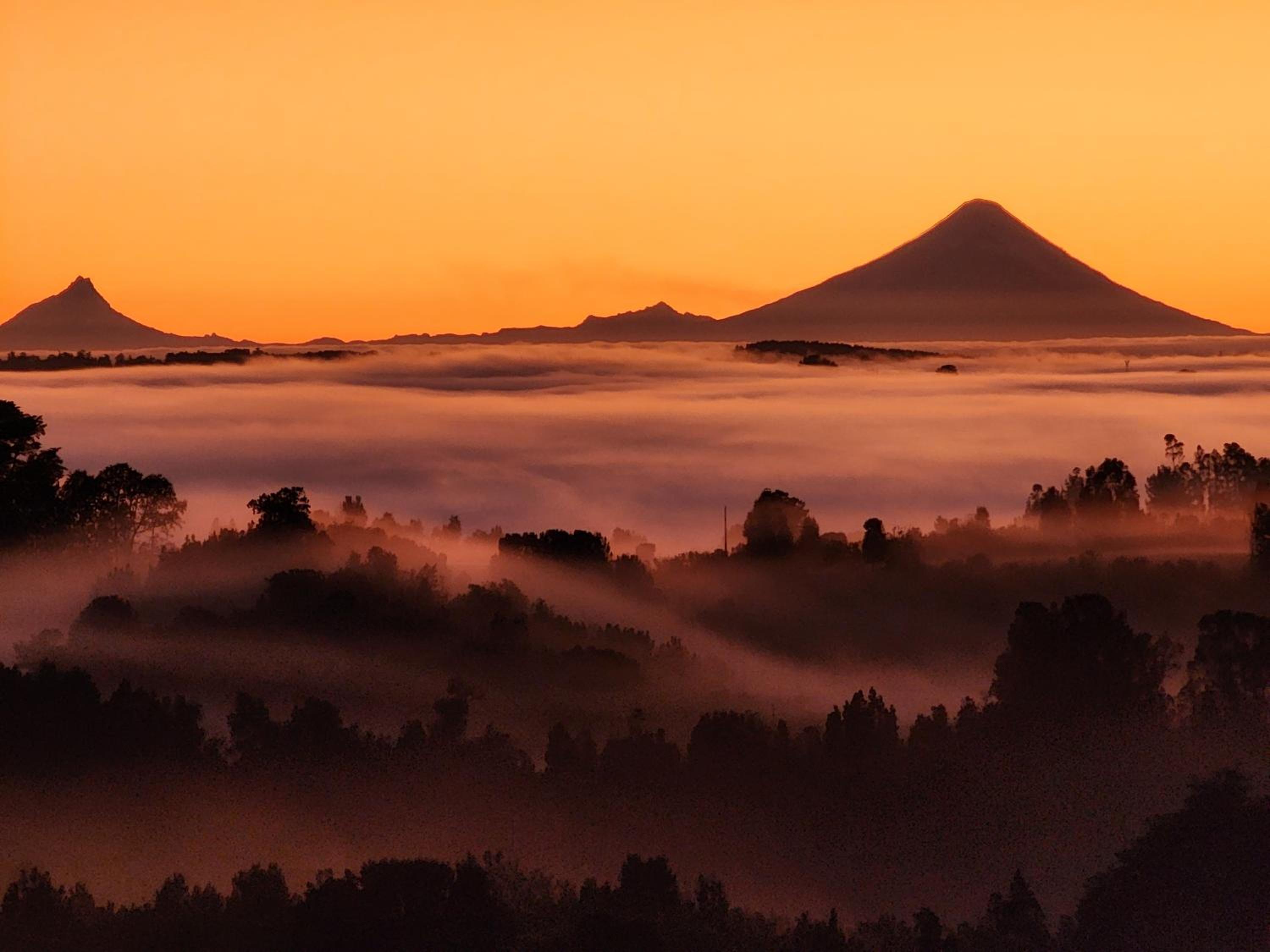 Lodge El Sarao A Una Hora De Puerto Varas