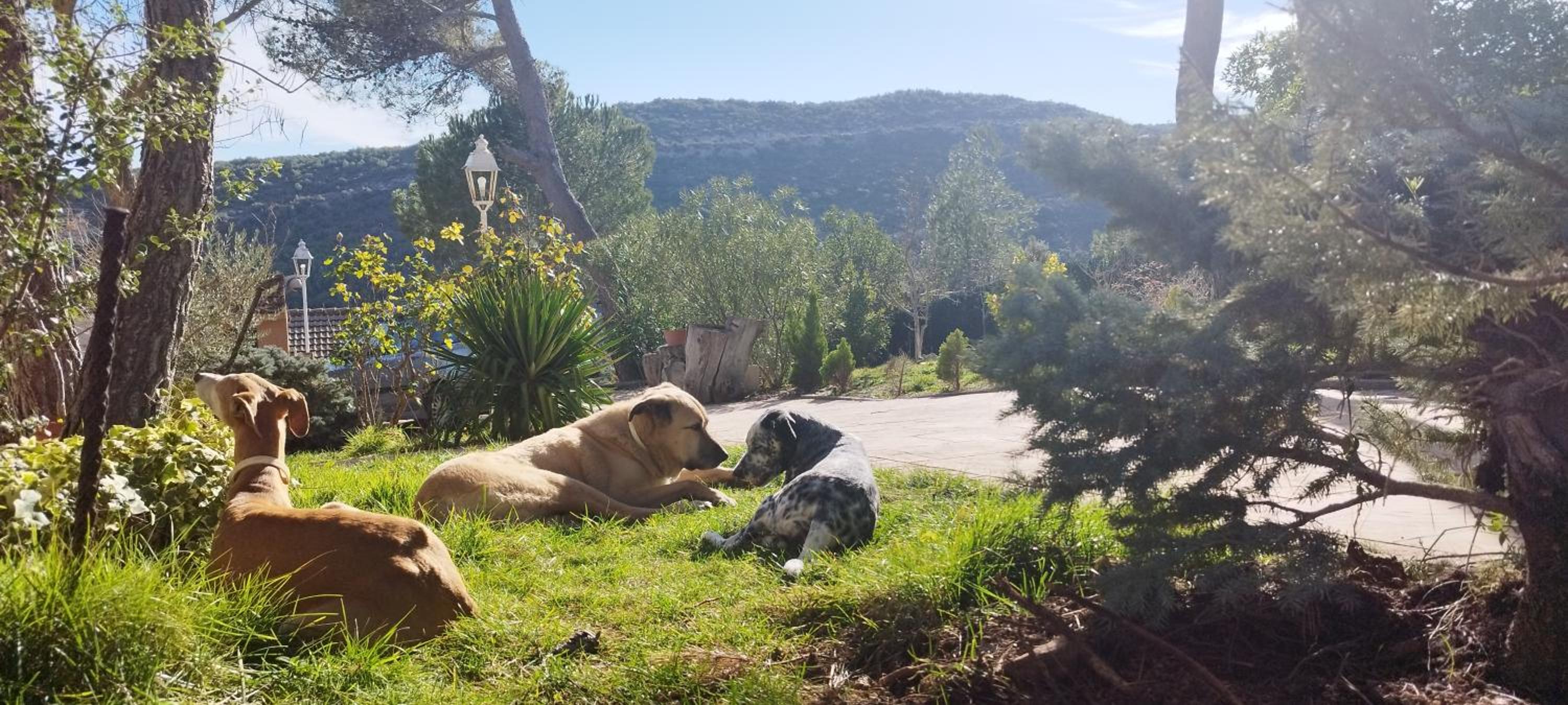 El Resplandor Casa Rural