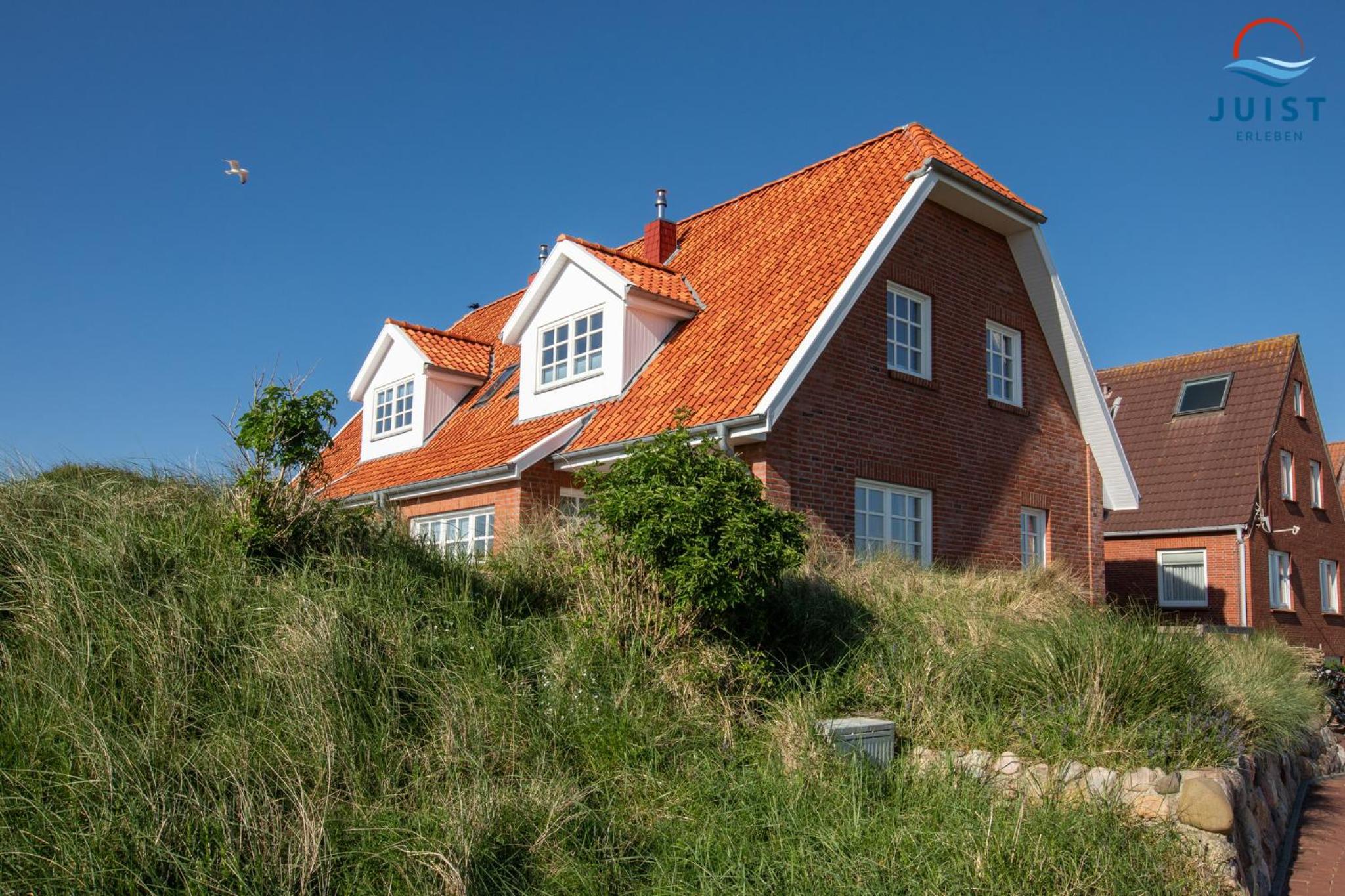 Haus Seepferdchen 238 - Ferienhaus Watt