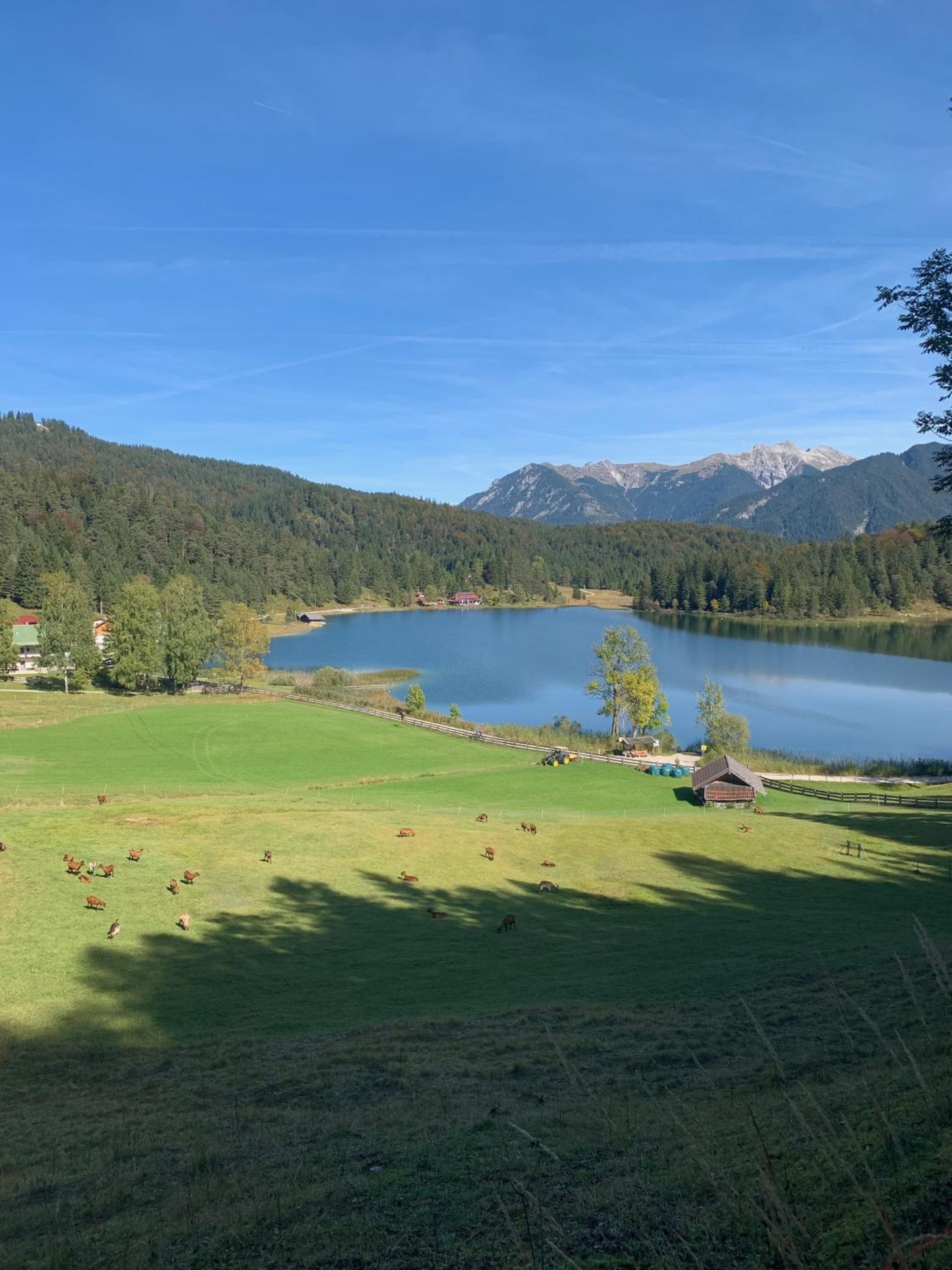 Ferienwohnung Alpina 1