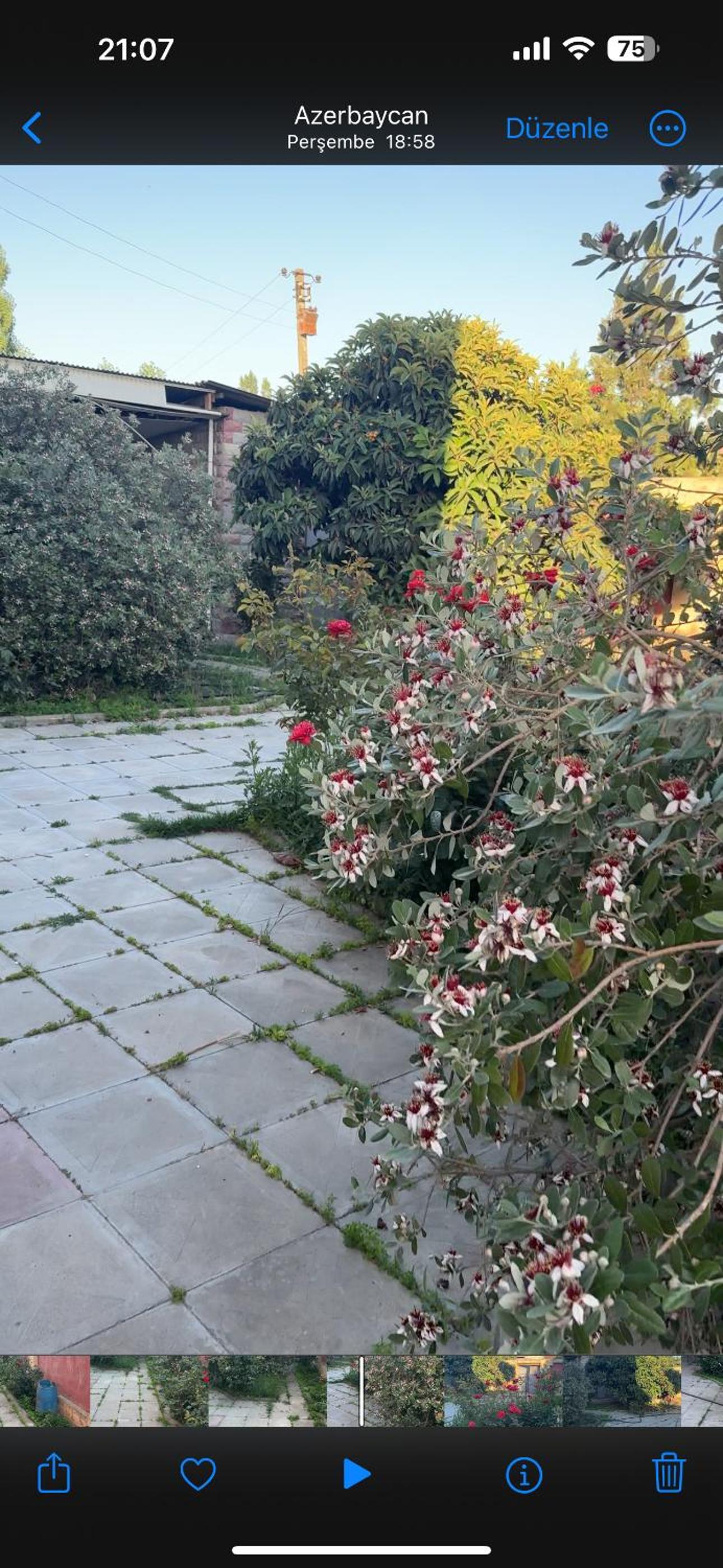 Kiralık yalı