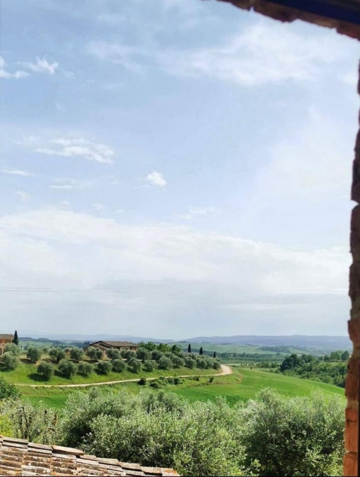 PodereVicoBasso Siena photo 5