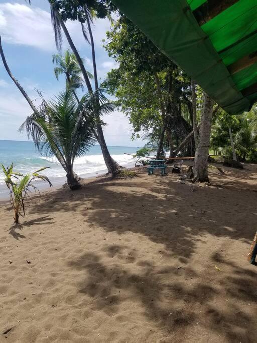 Susan Bungalow#1 Bahía Drake, Corcovado Familia Amaya