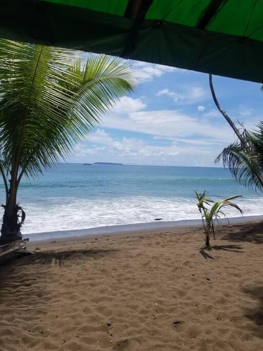 Susan Bungalow#1 Bahía Drake, Corcovado Familia Amaya